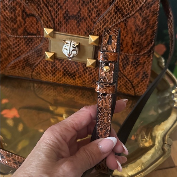 ON HOLD 🏆 Gucci Exotic Python Tiger Osiride (Oh-sear-ee-day) Circa 2017 - Picture 3 of 15
